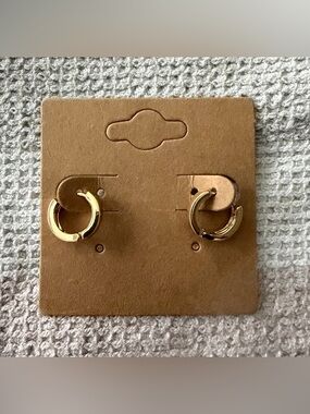 ✨New✨ House of Harlow: Earrings